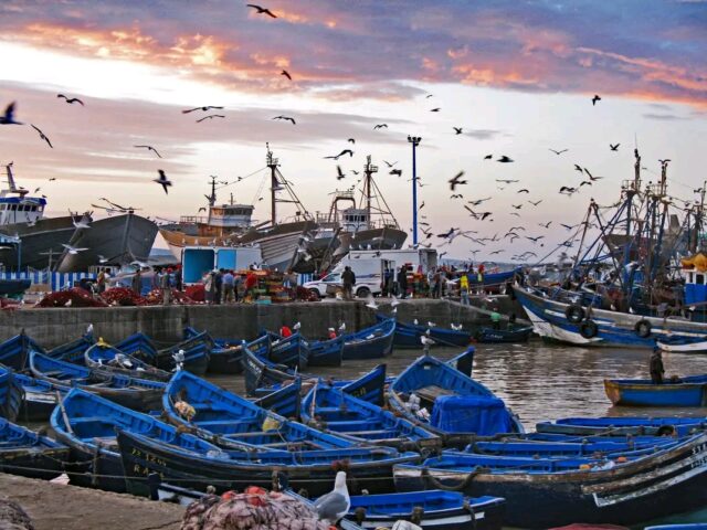 1 Day Trip From Marrakech To Essaouira