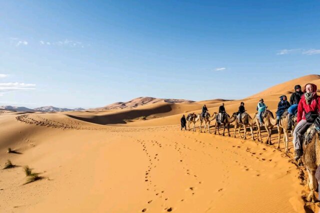 Travelers enjoying a camel trek across the Erg Chebbi dunes in Merzouga Sahara