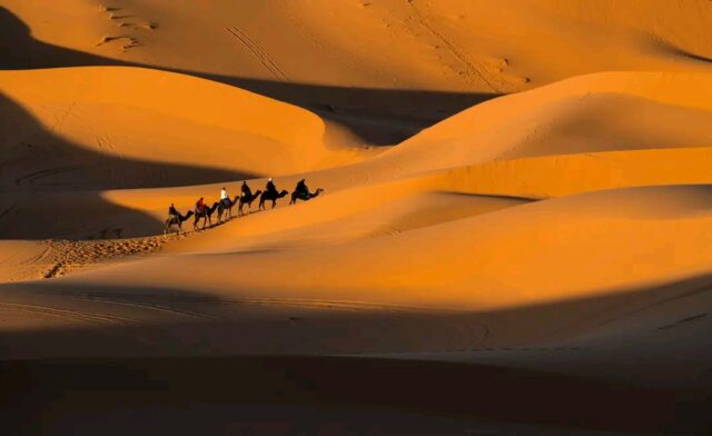 Camel trek across the Sahara Desert during a 3 days Fes to Marrakech desert tour