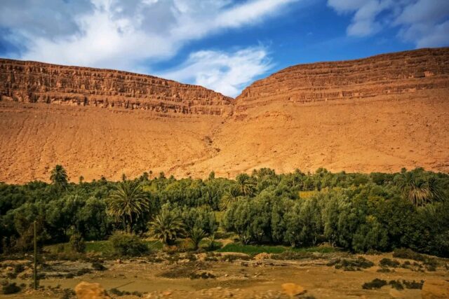 Ziz Valley palm oasis Morocco 