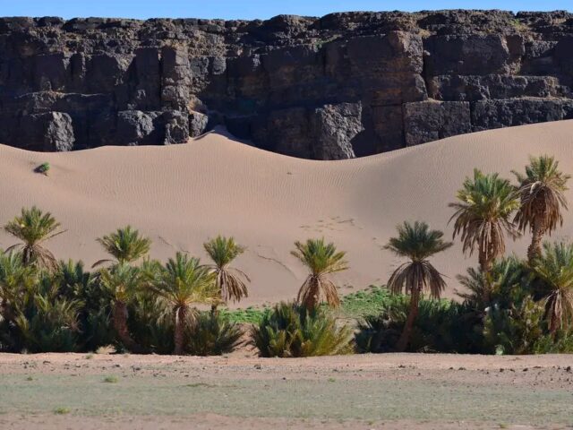 4 Days Tour from Ouarzazate to Marrakech via Sahara Desert