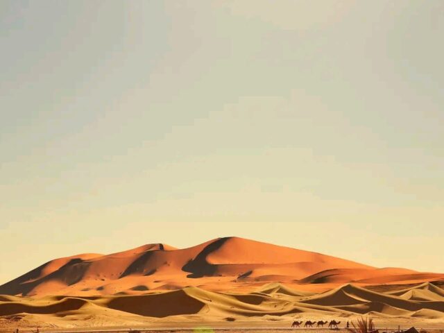 7 Days Private Tour from Marrakech to Merzouga Desert and Back
