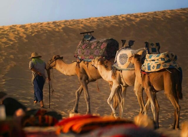 Camel trek across the Erg Chebbi dunes during the 2 Days Fes Desert Tour