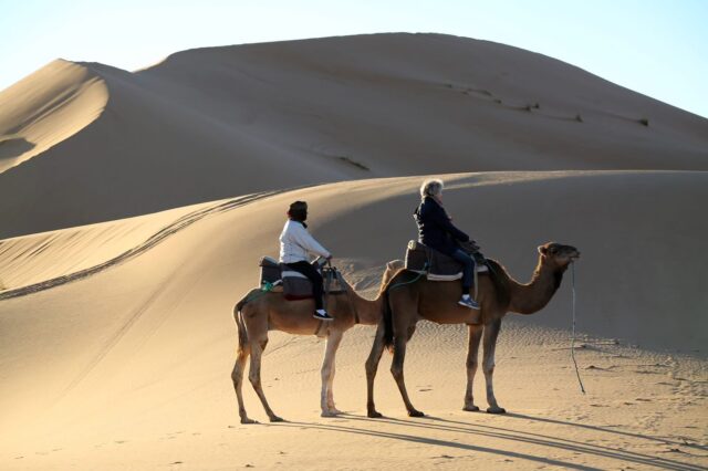 Camel trekking across the golden Erg Chebbi sand dunes