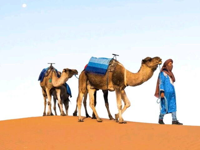 3 DAYS MARRAKECH TO FES DESERT TOUR
