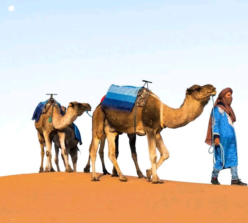 3 DAYS MARRAKECH TO FES DESERT TOUR