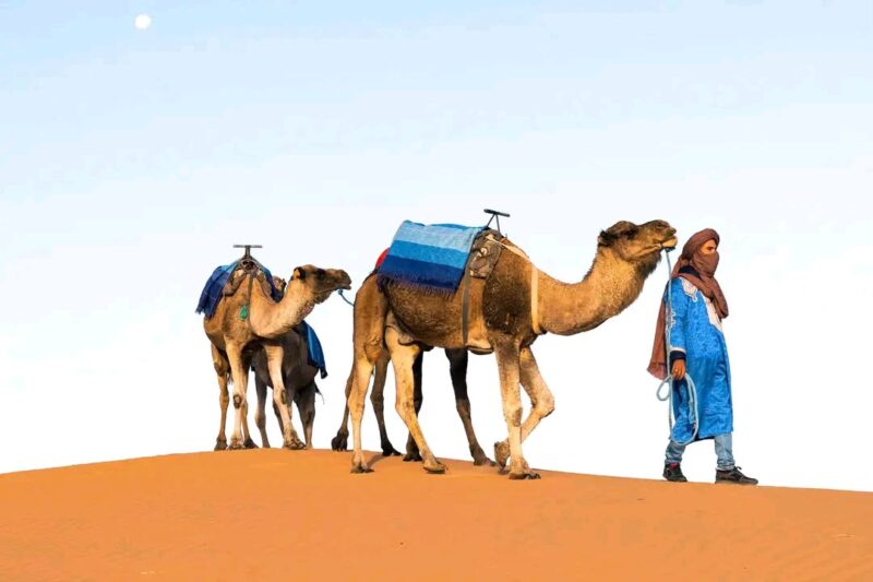 2 DAYS MARRAKECH TO ZAGORA DESERT TOUR