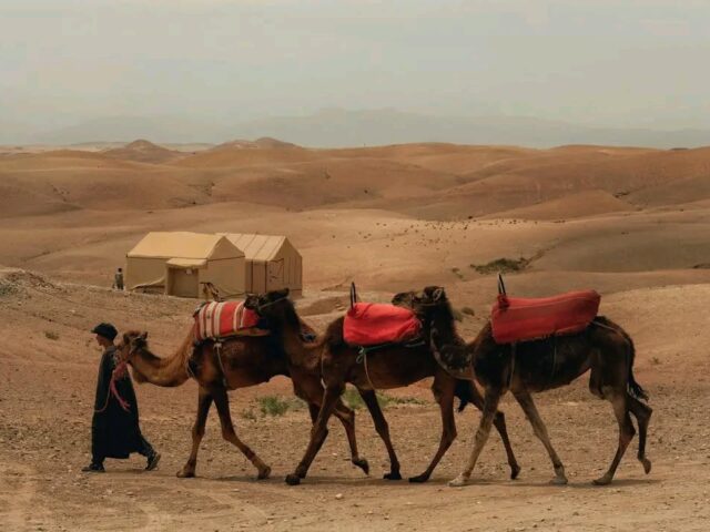 2 DAYS MARRAKECH TO AGAFAY DESERT TOUR