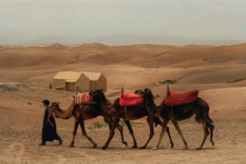 2 DAYS MARRAKECH TO AGAFAY DESERT TOUR
