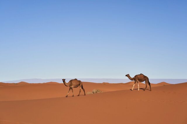 Merzouga Sahara Desert during the 3 Days Marrakech Desert Tour