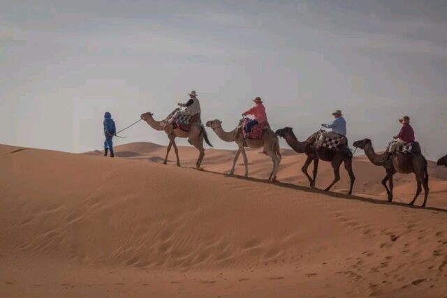Camel trek across the Erg Chebbi dunes during the 3 Days Marrakech Desert Tour